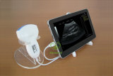 My-A010A Medical Equipment Ultrasound Diagnostic System Ultrasound Machine