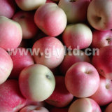 Fresh Red Apple Grade a, B and C