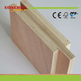 18mm Two Times Press Bintangor Commercial Plywood in China