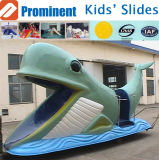Water Play Equipment Water Slide (ZC/CW/Cetacean)