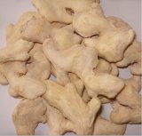 Well Peeled Ginger Whole Air Dehydrated
