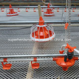Full Set Automatic Poultry Farm Equipment for Broiler Chicken