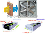 Exhaust Fan for Poultry Equipment/Livestock Farm/Cow House/Pig House