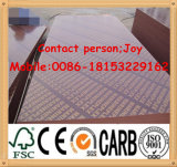 Film Faced Plywood/Shuttering Plywood/Marine Plywood