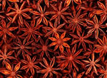 New Crop/High Quality Star Anise