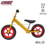 OEM/ODM Preschool Bike for Kids on Sale (AKB-AL-1201)