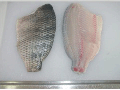 Tilapia Fillet With Skin on