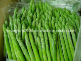 2015 New Crop IQF Green Asparagus