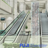 Outstanding and Automatic Escalator