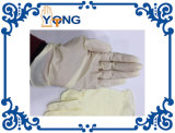 Disposable Glove Latex Glove Latex and Powder Free Gloves