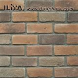 Classic Culture Brick Wall Veneer Building Decoration (10060)