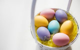 Animal Plastic Easter Eggs for Sale