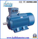 Y2 Series Three Phase Induction Electrical Motor (cast iron) with CE, CCC Certificate, OEM Supplier