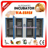 Compeitive Price Fully Automatic Chicken Large Egg Inucbator (VA-22528)