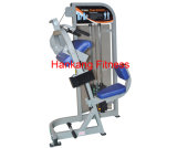 Fitness Equipment, , Body Building Eqiupment, Hammer Strength, Triceps Extension- (PT-503)