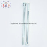 Stainless Steel Carriage Bolt/Square Neck Bolt