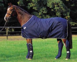 High Quality Horse Wear for Sale