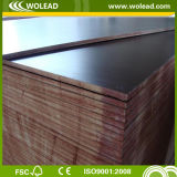 Water Proof Brown Film 18mm Film Faced Plywood (w15529)