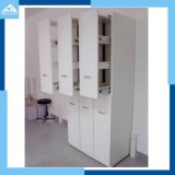 Lab Furniture-Storage Cabinet