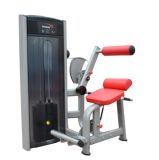 Fitness Equipment / Gym Equipment / Back Extension (SA20)