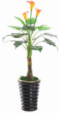 Artificial Plant/Artificial Flowers/Artificial Bonsai Eco-Friendly Plant 233