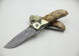 Udtek00258 OEM Browning Treasure Knife Collection Folding Knife with Damascus Steel