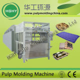 Medium Capacity Pulp Molding Machinery 1000PCS/Hr Egg Tray Machine