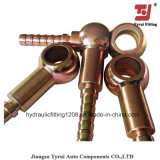 Hydraulic Fitting for Hose Fitting Metric Hydraulic Hose Banjo Fittings