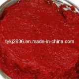 Canned Tomato Paste with 70g-4500g