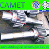 Gear and Gear Shaft for Gear Box