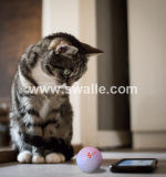 Swalle B1 LED Robotic Ball Wireless Control Toy