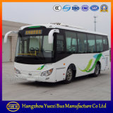 High Quality as Ankai Bus