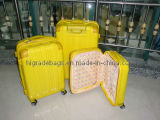 Travel Luggage (HGP-003)