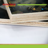 Brown Film Faced Plywood From China