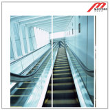 High Safety for out Dsoor Escalator