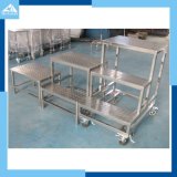 Multilayer Frame Stainless Steel Trolley