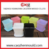 Plastic Injection Plant Flower Pot Mould in Huangyan