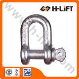 Chain Shackle / D Shackle with Screw Pin (SH02)