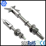 Stainless Steel Anchor Bolt with Nut