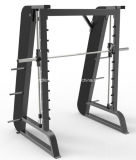 CE and RoHS Approved Gym Bench Type Ld-9063 Smith Machine Commercial Gym /Fitness Equipment
