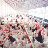 Full Set High Quality Automatic Poultry Equipment for Breeder