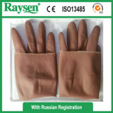 Sterile Orthopaedic Latex Surgical Gloves Powder-Free Made in China