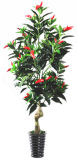 0013 Red Good Luck Tree ---Yongyue Export-----True and Nature