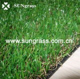 25mm Landscape/Recreation Synthtic Grass From Sungrass (SUNQ-HY00058)