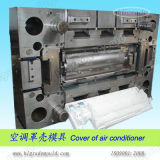 Plastic Injection Mould/ Injection Plastic Mold (C8)