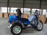 Gasoline Handicapped Tricycle (TH50QHT)