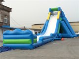Inflatable Hippo Slide Water Slide, Inflatable Crazy Slide (RB7003)