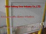 Automation Resident/House Roller Shutter Window - Light Transmission
