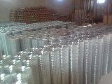 Welded Wire Mesh Ly142