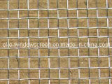 Ss Wire Mesh/ Stainless Steel Wire Mesh